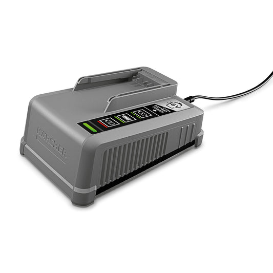 Charger Battery Power+ 36/60 AU